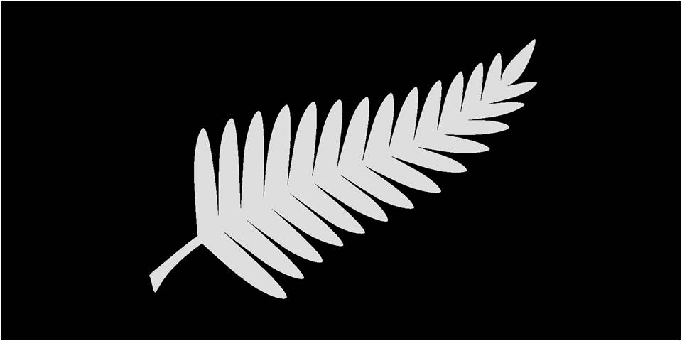 Variant 4: two silver horizontal bars. Variant 5: a silver silver fern